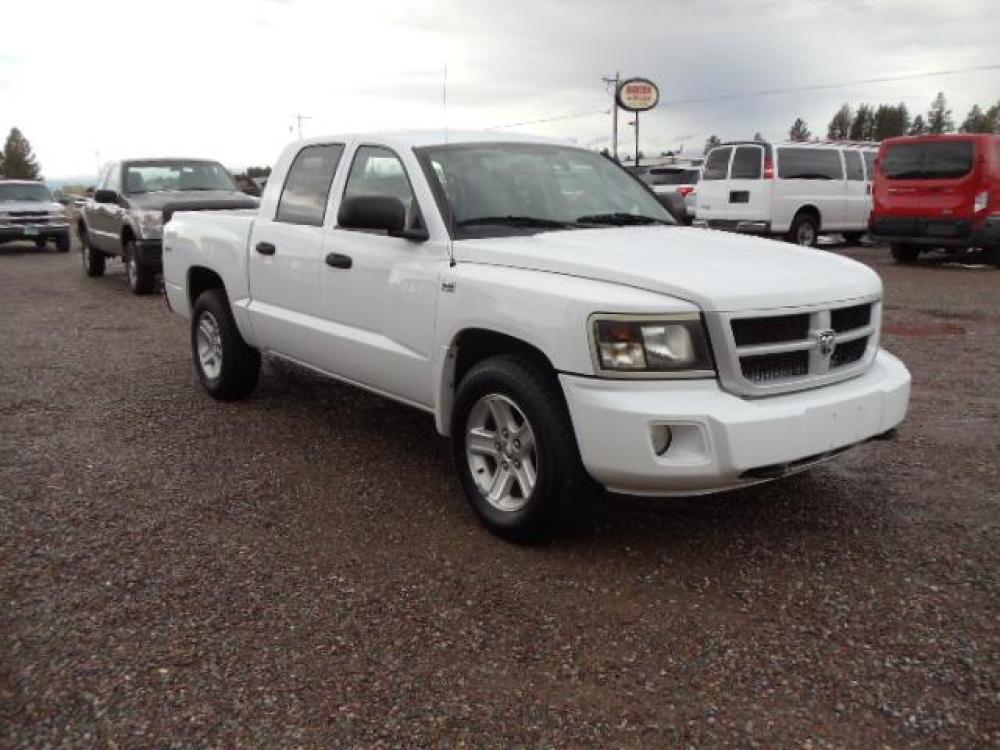 2010 White /Grey Dodge Dakota Bighorn (1D7RW3GP2AS) with an 4.7L V8 SOHC 16V FFV engine, 5-Speed Automatic transmission, located at 5465 Highway 2 W., Columbia Falls, MT, 59912, (406) 892-4407, 48.352188, -114.240929 - 4.7L V8 Cruise AC CD Tilt wheel Towing Power windows door locks and mirrors Brand new tires. - Photo #0