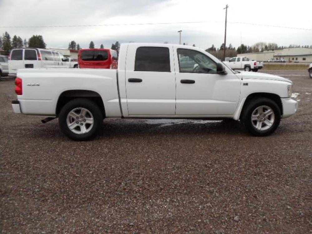 2010 White /Grey Dodge Dakota Bighorn (1D7RW3GP2AS) with an 4.7L V8 SOHC 16V FFV engine, 5-Speed Automatic transmission, located at 5465 Highway 2 W., Columbia Falls, MT, 59912, (406) 892-4407, 48.352188, -114.240929 - 4.7L V8 Cruise AC CD Tilt wheel Towing Power windows door locks and mirrors Brand new tires. - Photo #9