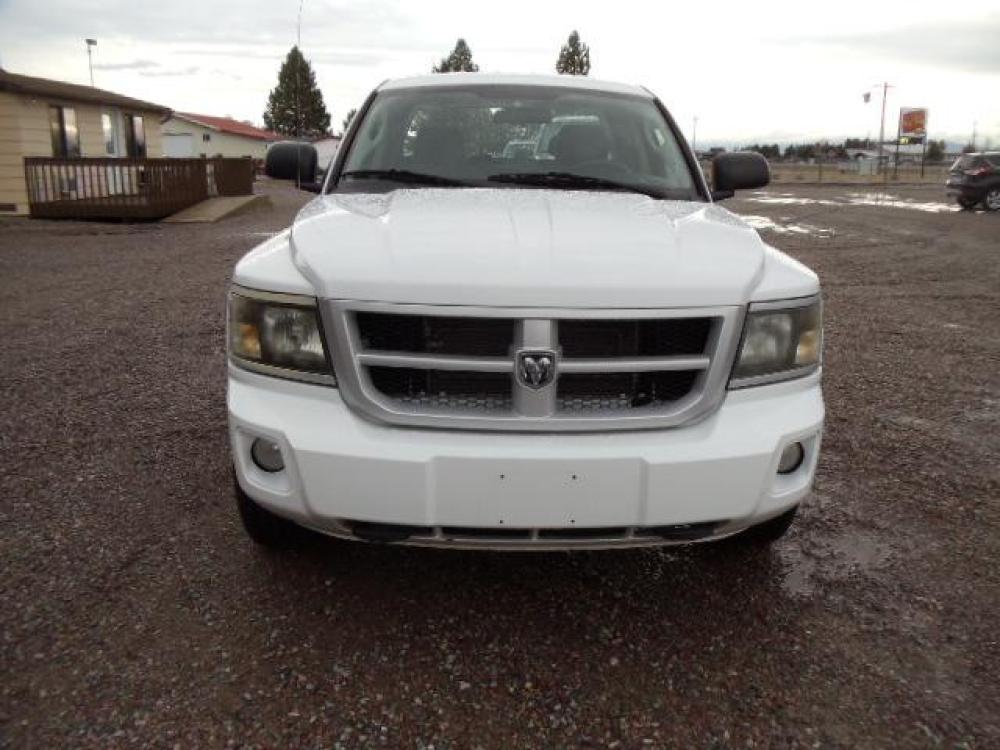 2010 White /Grey Dodge Dakota Bighorn (1D7RW3GP2AS) with an 4.7L V8 SOHC 16V FFV engine, 5-Speed Automatic transmission, located at 5465 Highway 2 W., Columbia Falls, MT, 59912, (406) 892-4407, 48.352188, -114.240929 - 4.7L V8 Cruise AC CD Tilt wheel Towing Power windows door locks and mirrors Brand new tires. - Photo #1