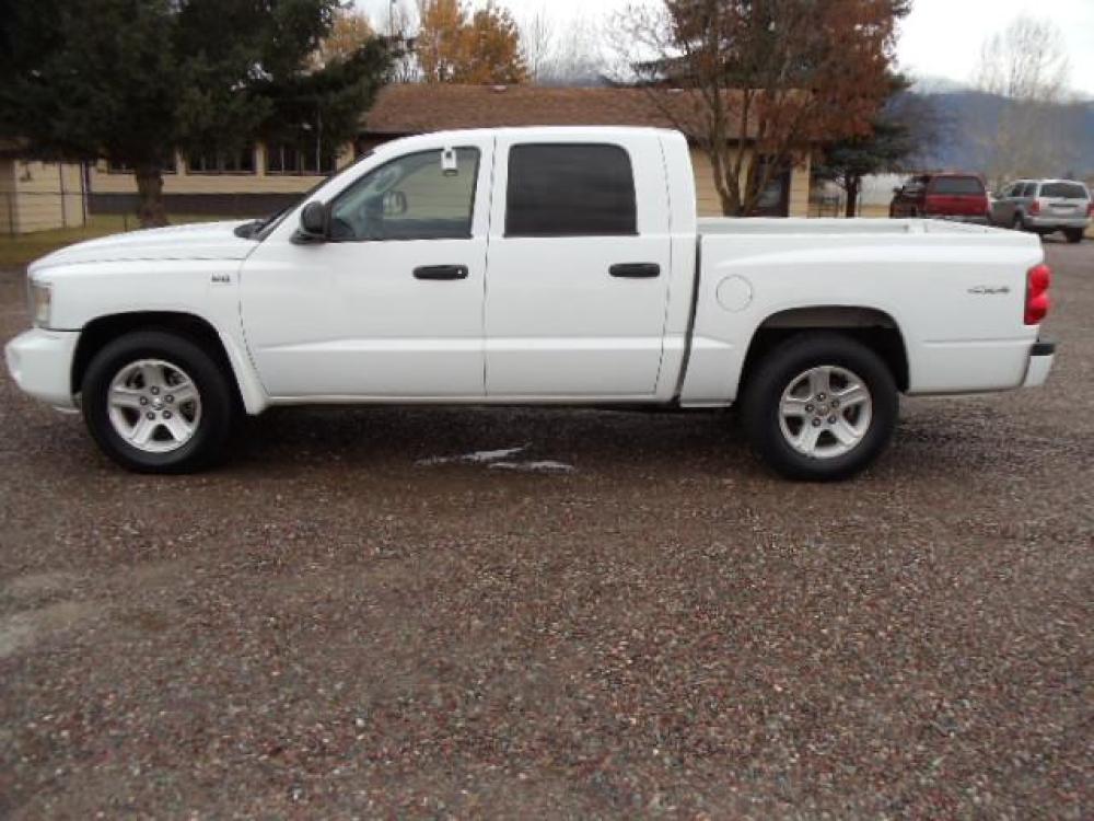 2010 White /Grey Dodge Dakota Bighorn (1D7RW3GP2AS) with an 4.7L V8 SOHC 16V FFV engine, 5-Speed Automatic transmission, located at 5465 Highway 2 W., Columbia Falls, MT, 59912, (406) 892-4407, 48.352188, -114.240929 - 4.7L V8 Cruise AC CD Tilt wheel Towing Power windows door locks and mirrors Brand new tires. - Photo #3