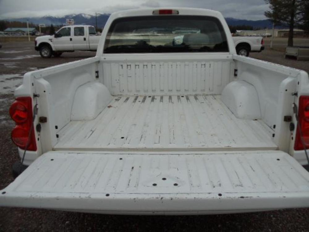 2010 White /Grey Dodge Dakota Bighorn (1D7RW3GP2AS) with an 4.7L V8 SOHC 16V FFV engine, 5-Speed Automatic transmission, located at 5465 Highway 2 W., Columbia Falls, MT, 59912, (406) 892-4407, 48.352188, -114.240929 - 4.7L V8 Cruise AC CD Tilt wheel Towing Power windows door locks and mirrors Brand new tires. - Photo #7