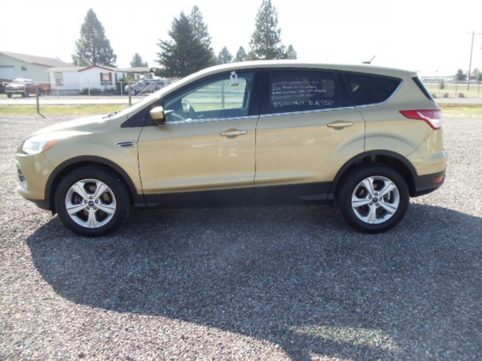 2015 Gold /Tan Ford Escape SE 4WD (1FMCU9G92FU) with an 2.0L L4 DOHC 16V engine, 6-Speed Automatic transmission, located at 5465 Highway 2 W., Columbia Falls, MT, 59912, (406) 892-4407, 48.352188, -114.240929 - Photo #3