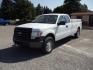 2012 White /Gray Ford F-150 XL (1FTFX1EF6CK) with an 5.0L V8 engine, 6-Speed Automatic transmission, located at 5465 Highway 2 W., Columbia Falls, MT, 59912, (406) 892-4407, 48.352188, -114.240929 - Photo#2