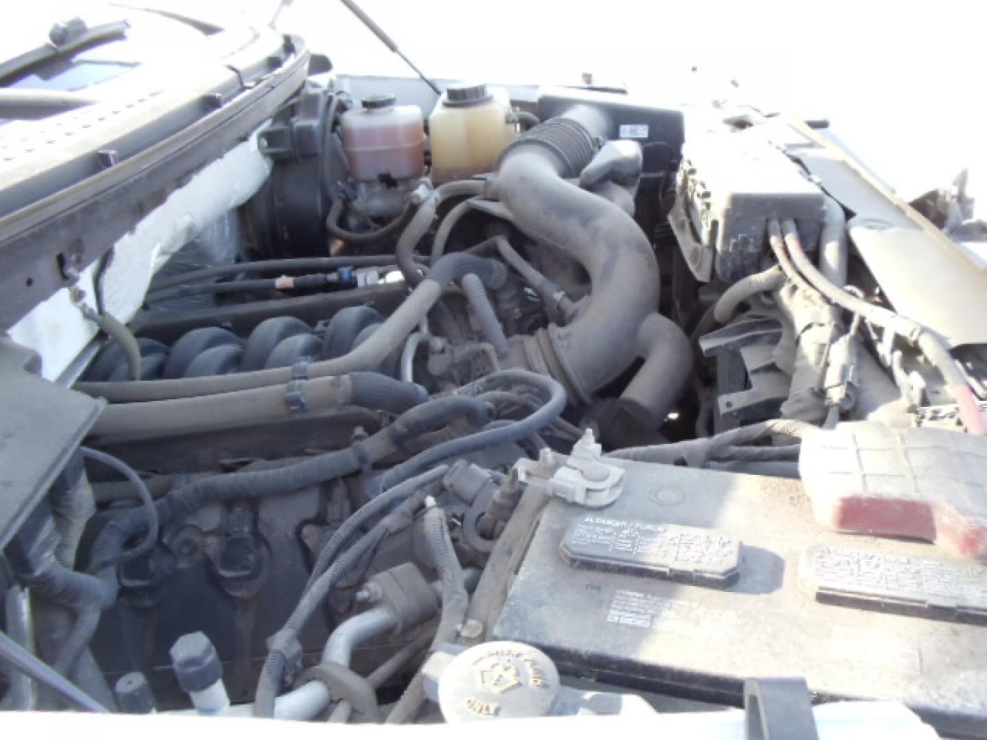 2012 White /Gray Ford F-150 XL (1FTFX1EF6CK) with an 5.0L V8 engine, 6-Speed Automatic transmission, located at 5465 Highway 2 W., Columbia Falls, MT, 59912, (406) 892-4407, 48.352188, -114.240929 - Photo#21
